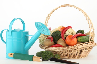 Patru nutrienti de care copiii duc lipsa