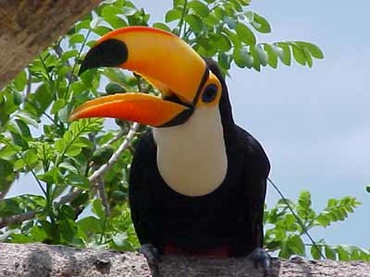 Corabia Vacantei la Muzeul Antipa