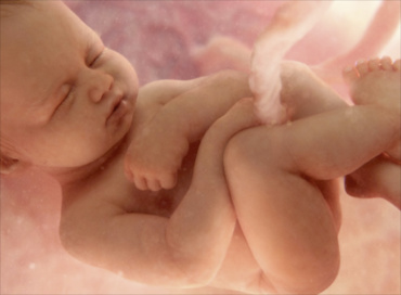 Au bebelusii din burtica propria personalitate?