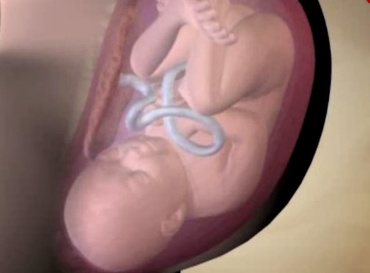 Ce se afla in jurul bebelui tau