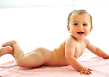 Ce se ascunde in scutec? 