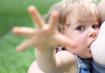 Alaptarea dupa un an