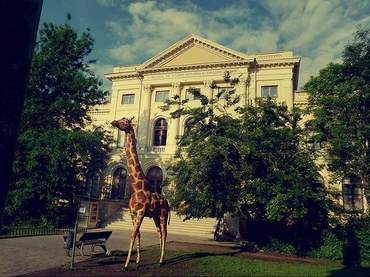 Atelier de Paste la Antipa