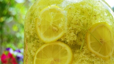 Reteta de socata cu miere