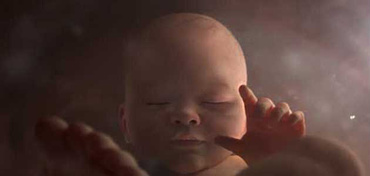 Miraculoasa lume din interior