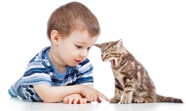 10 lucruri pe care le poti face pentru copiii care au alergie la pisica
