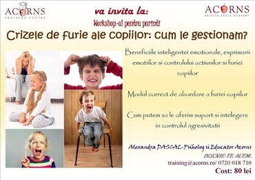 Workshop-ul "Crizele de furie ale copiilor: cum le gestionam?"