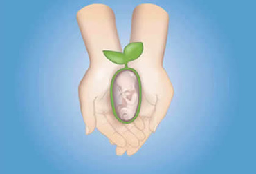 Suplimente pentru fertilitate