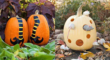 Modele inedite de dovleci pictati