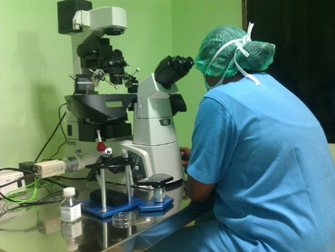 Maturarea in vitro (MIV)