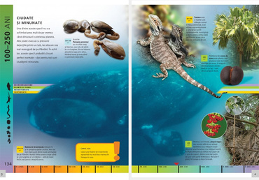 Concurs: Conteaza cum traiesti