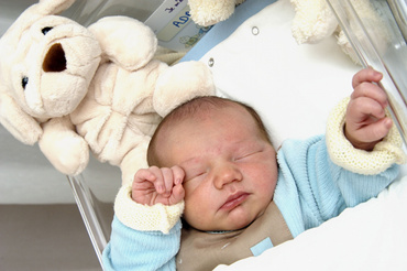 Prima ora dupa nastere. Video.