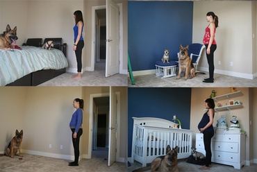 9 luni in 90 de secunde