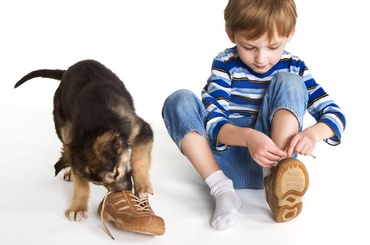 Cum îi înveți pe copii să-și lege șireturile (VIDEO)