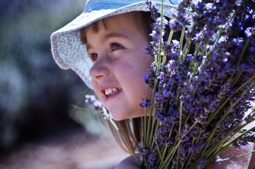 8 substante repelente naturale