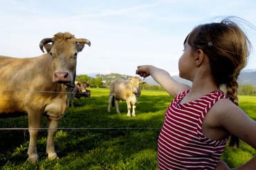 Cine nu are o 'tara' sa isi cumpere