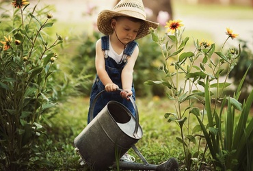 O gradina senzoriala