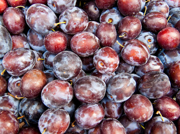 Gem si magiun de prune