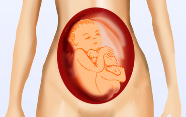 Tipuri de ecografii in sarcina