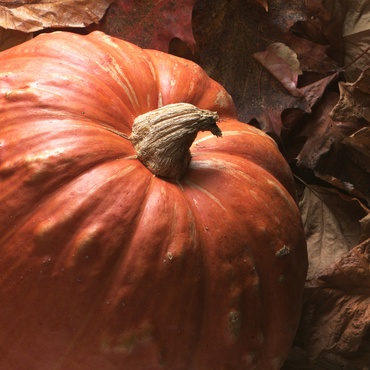 Minunatul dovleac si de ce este bun in sarcina