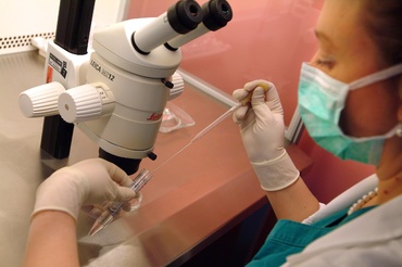 Rate mai mari de succes pentru fertilizarea in vitro