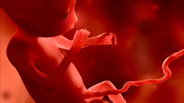 8 lucruri despre cordonul ombilical pe care nu le stiai