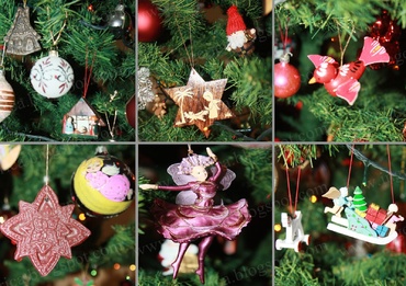 Operatiunea "Bradutul" – 2015