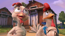 Toto, cocoselul cel viteaz