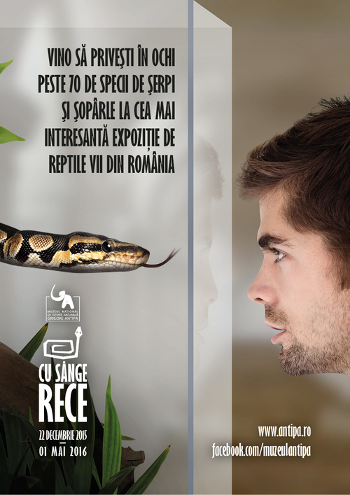 Expozitie speciala la Muzeul Antipa