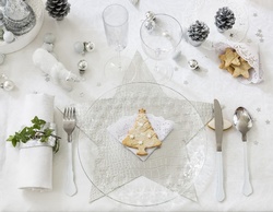 Suport de servetele din iedera