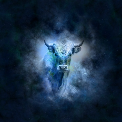 Horoscop 2016 Taur