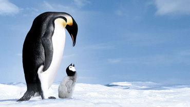 Cele mai frumoase filme de iarna pentru copii