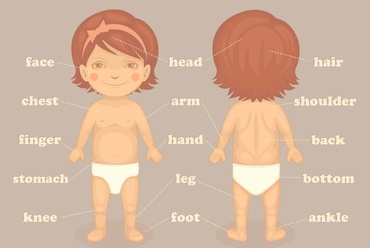 CONCURS: Câștigă o invitație la seminarul “Corpul Uman: importanţa cunoaşterii lui în dezvoltarea şi educaţia copiilor”