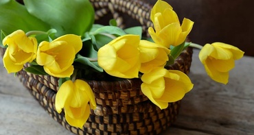 Sfat pentru bărbați: unde găsiți paradisul florilor ieftine