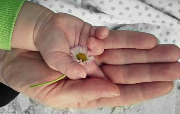 Părinţii au obligaţii, dar şi drepturi