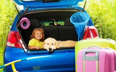 9 idei geniale pentru a avea o călătorie cu maşina fără să o murdăreşti