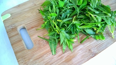 Salată de primăvară cu grâu spelta şi fasole fava