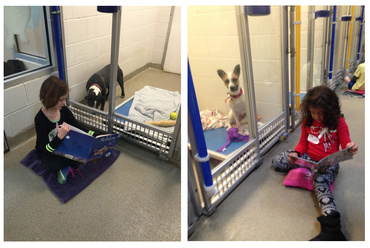 Un program bun pentru toată lumea: copiii care citesc câinilor aduşi la adăposturi