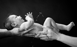 Fima Photography