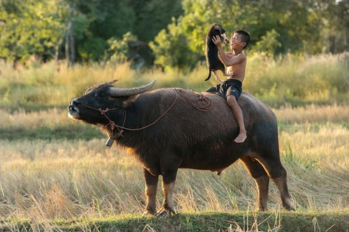 Thailanda