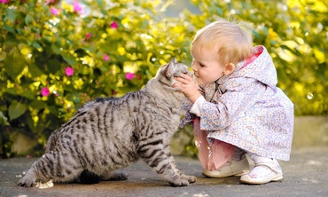 Facem copil. Să aruncăm animalul din casă, deci