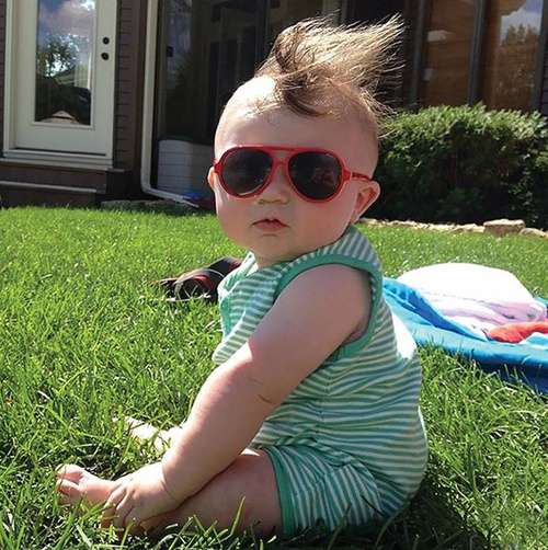 Mini Donald Trump