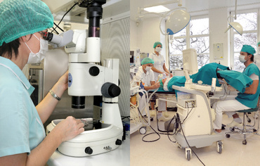 Fertilizarea in vitro cu ovocite donate