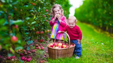 10 obiceiuri care încep în copilărie şi ţin toată viaţa