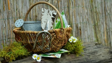 Gardening is cheaper than therapy