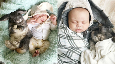 Instantanee virale: Cele mai adorabile poze cu un bebeluș și un iepuraș