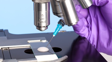 Inseminare artificială sau fertilizare în vitro? Recomandările specialistului