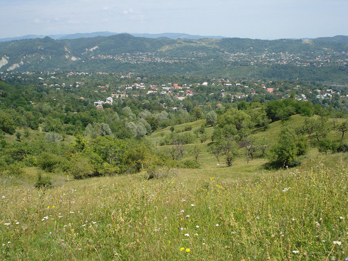 Breaza