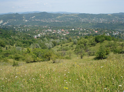 Breaza