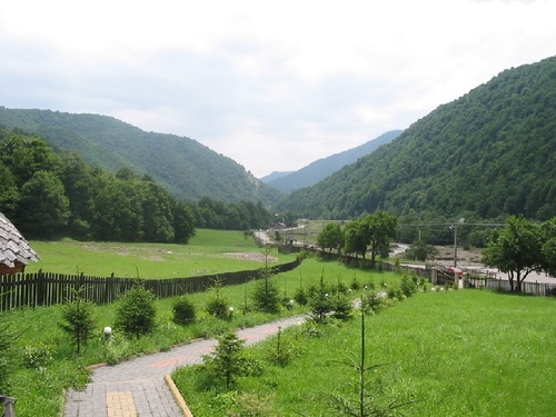 Lepșa